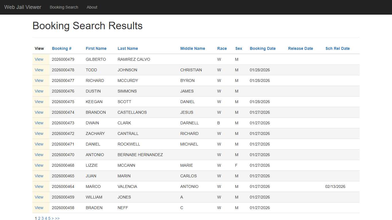 BookingSearchDetail - Web Jail Viewer